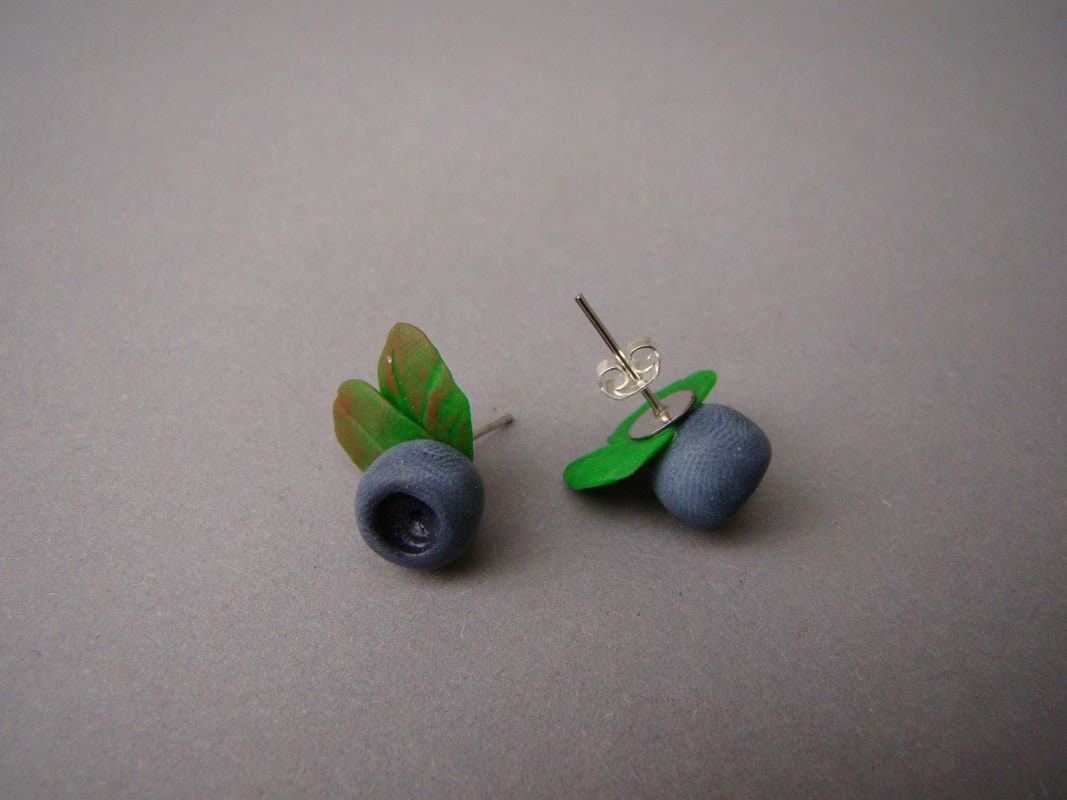 Blaubeere Ohrringe Wald Beeren Fimo Schmuck Kleine Geschenk Für Frauen-Geschenk Sie Einzigartige Blaubeere Ohrringe Wald Beeren Fimo Schmuck Kleine Geschenk Für Frauen-Geschenk Sie Einzigartige von HandStudioUA