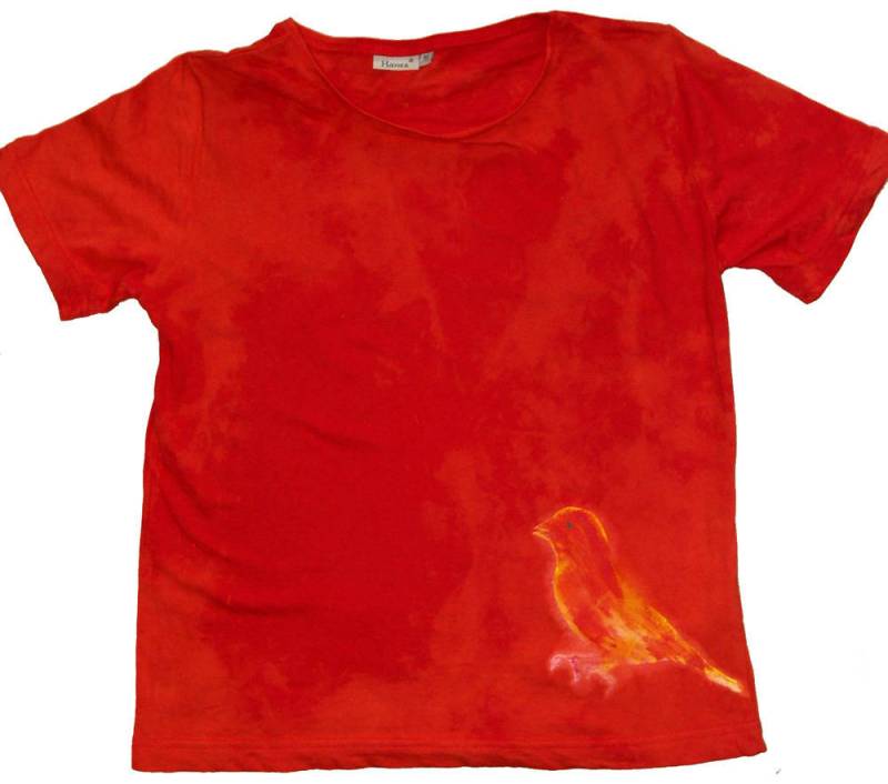 Handgemachtes Rotes Damen T-Shirt Mit Handgemaltem Zaubervogel Auf Roter Erde von HandmadeRetroTshirts