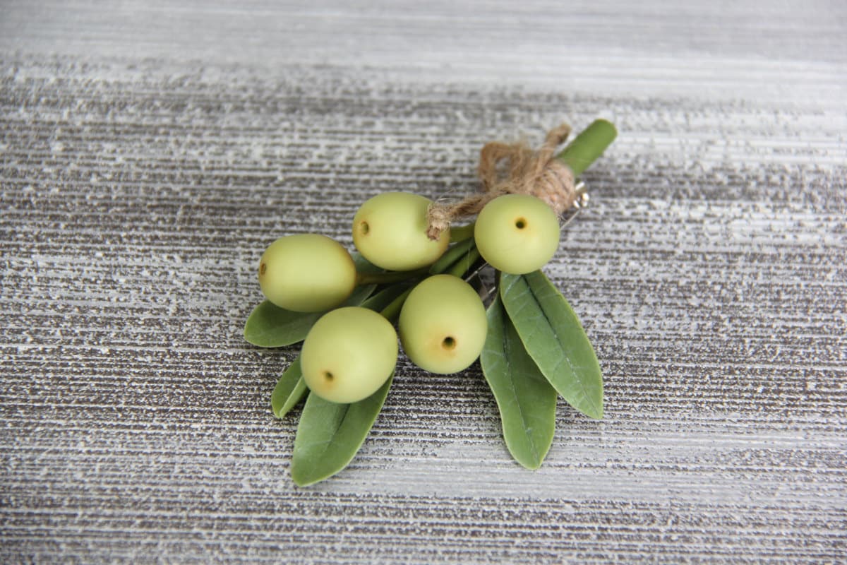 Boutonniere Handgemachte Olive Aus Polymer Clay. Helle Handarbeit. Brosche Polimer-Ton. Modeblume. Florale Brosche. Deko-Ton Boutonniere Handgemachte Olive Aus Polymer Clay. Helle Handarbeit. Brosche Polimer-Ton. Modeblume. Florale Brosche. Deko-Ton von Handmadflowers