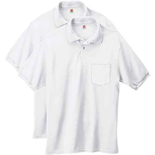 Hanes Herren EcoSmart Polo, Kurzarm-Poloshirt, 2er-Pack, Weiss/opulenter Garten, L von Hanes