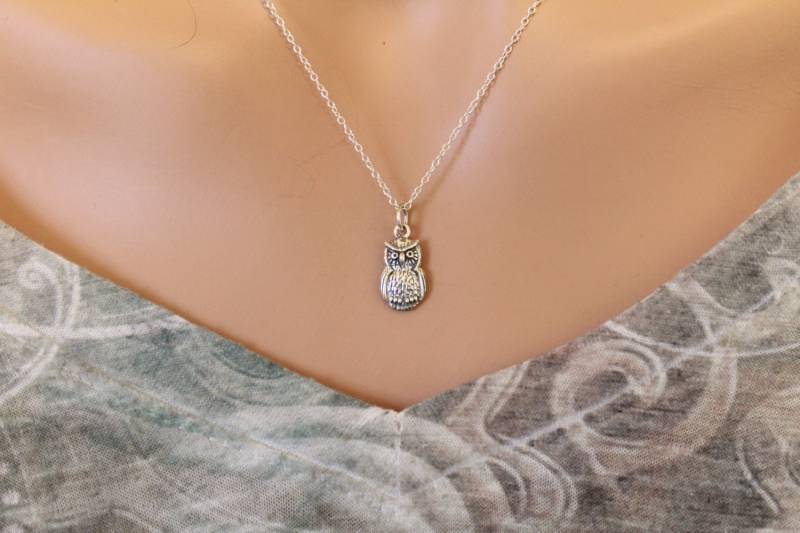 sterling Silber Eule Charm Halskette von HannahCatherines