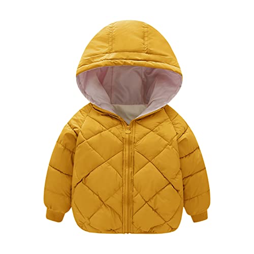 Kinder Steppjacke Madchen Leicht Casual Parka Jacke Baumwolle Wintermantel Kinder Plüschjacke Kinder Steppjacke Outdoorjacke Atmungsaktiv Kinder Winterjacke Kinderjacke von Hanraz