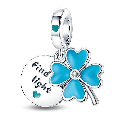 Hapour 925 Sterling Silber Charms Fit für Charm Armbänder Anhänger Bead, Armband & Halskette Schmuck Bead Charms für Frauen Mutter von Hapour