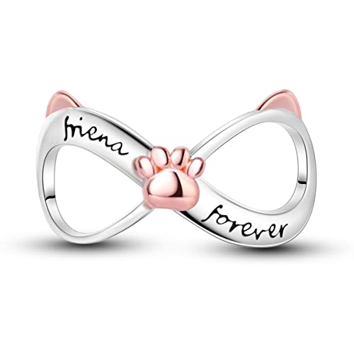 Hapour 925 Sterling Silber Charms Fit für Charm Armbänder Anhänger Bead, Armband & Halskette Schmuck Bead Charms für Frauen Mutter von Hapour