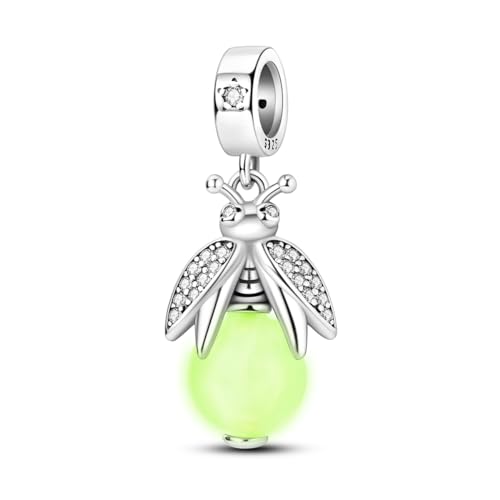 Hapour 925 Sterling Silber Charms für Armbänder Halskette Europäischen Schmuck Dangle Beads für Frauen Mutter von Hapour