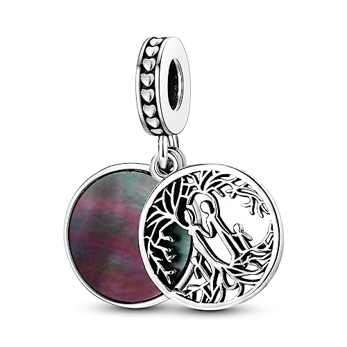 Hapour 925 Sterling Silber Charms für Charme Armbänder Halskette Europäischen Schmuck Anhänger Perlen Charme Geburtstag Armband Charms für Frauen Mutter Hapour 925 Sterling Silber Charms für Charme Armbänder Halskette Europäischen Schmuck Anhänger Perlen Charme Geburtstag Armband Charms für Frauen Mutter von Hapour