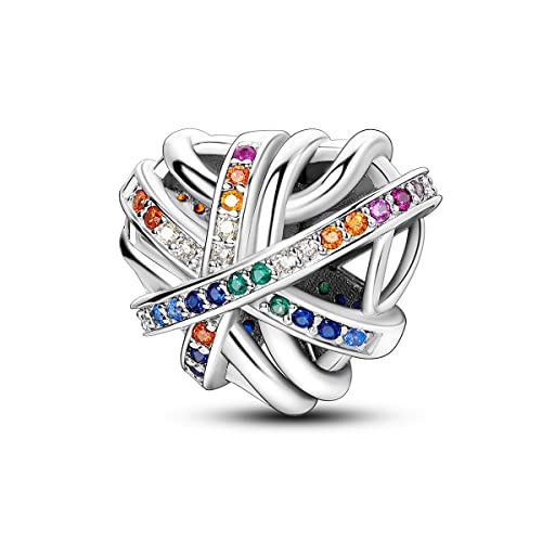 Hapour 925 Sterling Silber Charms für Charme Armbänder Halskette Europäischen Schmuck Anhänger Perlen Charme Geburtstag Armband Charms für Frauen Mutter von Hapour