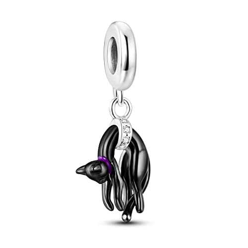 Hapour 925 Sterling Silber Charms für Charme Armbänder Halskette Europäischen Schmuck Anhänger Perlen Charme Geburtstag Armband Charms für Frauen Mutter von Hapour