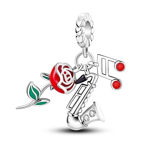 Hapour 925 Sterling Silber Charms für Charme Armbänder Halskette Europäischen Schmuck Anhänger Perlen Charme Geburtstag Armband Charms für Frauen Mutter von Hapour