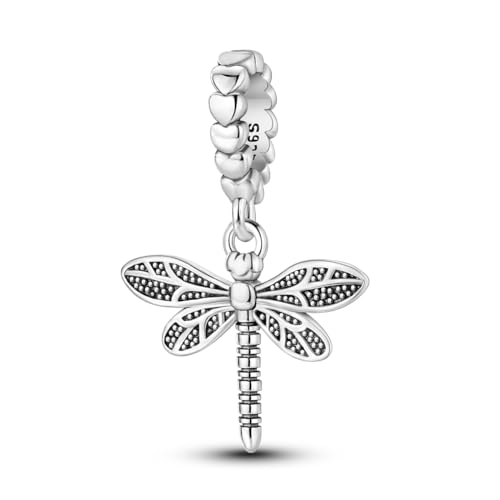 Hapour 925 Sterling Silber Charms für Charme Armbänder Halskette Europäischen Schmuck Anhänger Perlen Charme Geburtstag Armband Charms für Frauen Mutter von Hapour