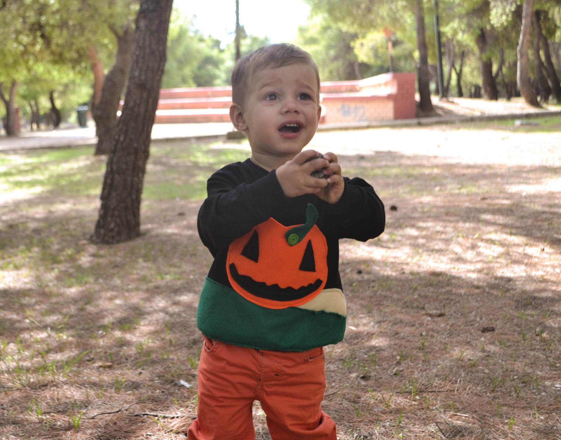 Halloween Crewneck Sweatshirt Vintage Kürbis Applikation Junge Outfit Kostüm Shirt Für Leckerli von HappyButtonStore