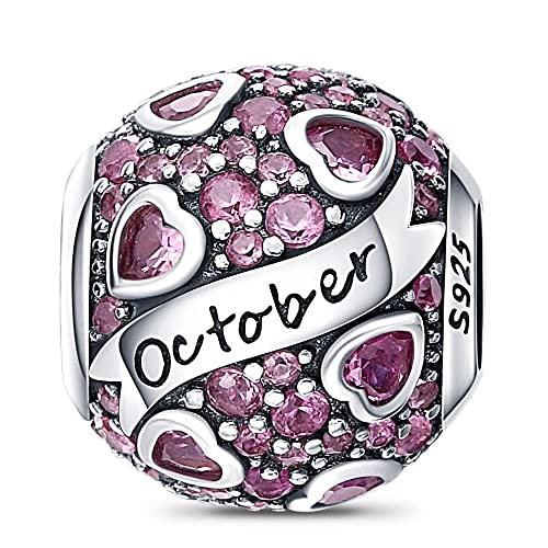 HappyStar 925 Sterling Silber Birthstone Charms ，Fits Charms Armbänder für Frau, mit 5A Cubic Zirkonia Dangle Anhänger Bead, Happy Birthday Charms für Armband von HappyStar