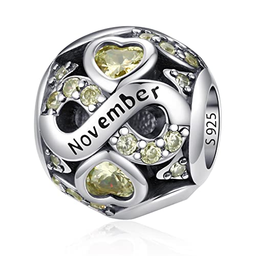 925 Sterling Silber Geburtsstein Charms Anhänger mit 5A Cubic Zirkonia Dangle Beads Charms,Openwork Perlen Liebesherz Anhänger für Pandora Europäische Charme Armband Schmuck von HappyStar