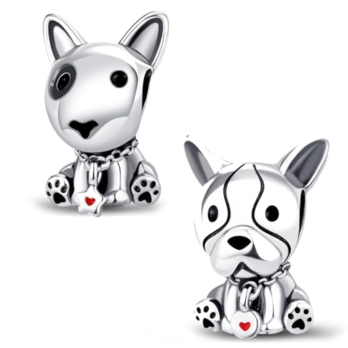 HappyStar Silber 925 Charms Anhänger für Armbänder, Combination Dangle Anhänger Bead Charms für Damen Kompatibel mit Pandora Europäischen Armbändern und Halskette （Mit Spacer Beads von HappyStar