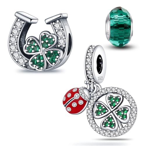 HappyStar Silber 925 Charms Anhänger für Armbänder, Combination Dangle Anhänger Bead Charms für Damen Kompatibel mit Pandora Europäischen Armbändern und Halskette （Mit Spacer Beads von HappyStar