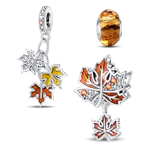 HappyStar Silber 925 Charms Anhänger für Armbänder,Combination Dangle Anhänger Bead Charms für Damen Kompatibel mit Pandora Europäischen Armbändern und Halskette （Mit Spacer Beads von HappyStar