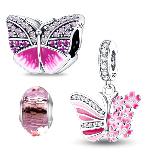 HappyStar Silber 925 Charms Anhänger für Armbänder,Combination Dangle Anhänger Bead Charms für Damen Kompatibel mit Pandora Europäischen Armbändern und Halskette （Mit Spacer Beads von HappyStar