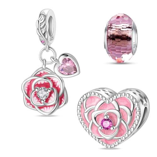 HappyStar Silber 925 Charms Anhänger für Armbänder,Combination Dangle Anhänger Bead Charms für Damen Kompatibel mit Pandora Europäischen Armbändern und Halskette （Mit Spacer Beads von HappyStar