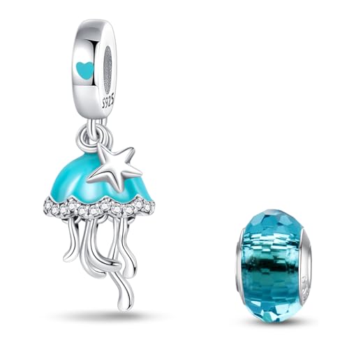 HappyStar beads charms,passt Charms Armbänder Halskette Europäischen Schmuck ，Bead Charms für Damen,925 Sterling Silber Dangle Anhänger von HappyStar