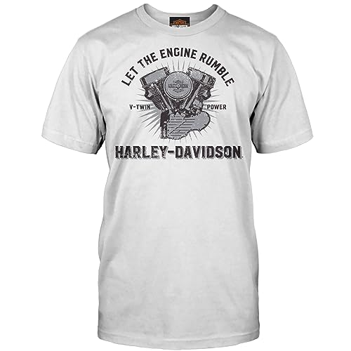 HARLEY-DAVIDSON Militär - Herren T-Shirt mit Grafik in Eisgrau - Camp Foster | Engine Rumble, GRAU, L von Harley-Davidson