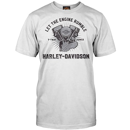 Harley-Davidson Militär - Herren T-Shirt mit Grafik in Eisgrau - Camp Foster | Engine Rumble, GRAU, XL von Harley-Davidson