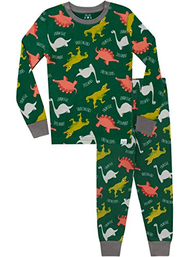 Harry Bear Jungen Dinosaurier Schlafanzug Slim Fit Mehrfarbig 110 von Harry Bear