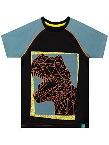 Harry Bear Jungen Dinosaurier T-Shirt Schwarz 122 von Harry Bear