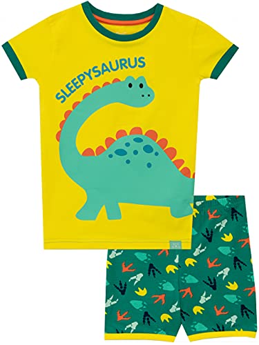 Harry Bear Jungen Schlafanzug Dinosaurier Slim Fit Gelb 104 von Harry Bear
