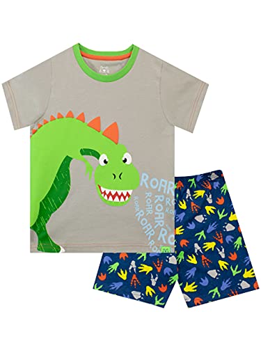 Harry Bear Jungen Schlafanzug Kurz Dinosaurier Mehrfarbig 116 von Harry Bear
