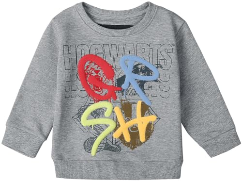 Harry Potter Häuser Unisex Sweatshirt hellgrau 122/128 von Harry Potter