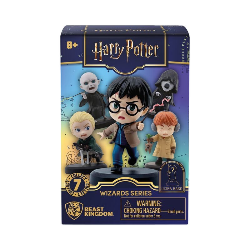 Harry Potter Hero Blind Box Sammelfiguren multicolor von Harry Potter