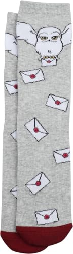 Harry Potter Hogwarts Letter Unisex Socken multicolor L-XL von Harry Potter