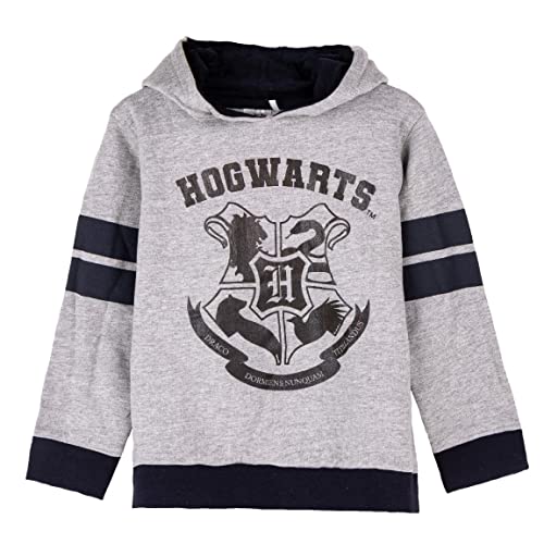 Harry Potter Kapuzenpullover Kinder Mädchen Jungen Hoodie Teenager Kapuzenpullover Crewneck Sweatshirt Pullover 6-14 Jahre Offiziell Merchandise (DE/NL/SE/PL, Numerisch, 116, Regular, Grau) von Harry Potter