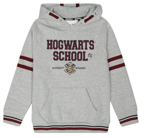 Harry Potter Kids - Hogwarts School Unisex Kapuzenpullover Multicolor 128 von Harry Potter