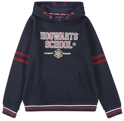 Harry Potter Kids - Hogwarts School Unisex Kapuzenpullover Multicolor 140 von Harry Potter