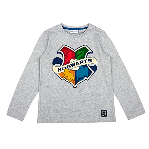 Harry Potter Langarmshirt in verschiedenen Designs (Grau, 110) von Harry Potter