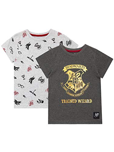 Harry Potter Mädchen Hogwarts T-Shirt Packung mit 2 Grau 128 von Harry Potter