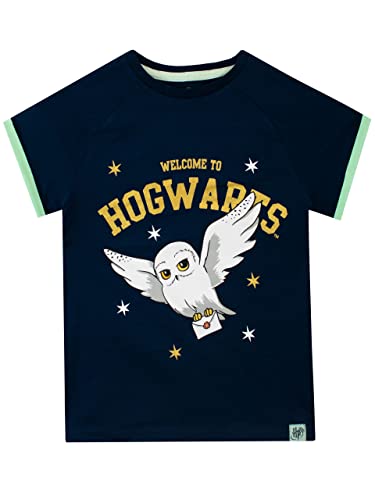 Harry Potter Mädchen T-Shirt Hogwarts Blau 116 von Harry Potter