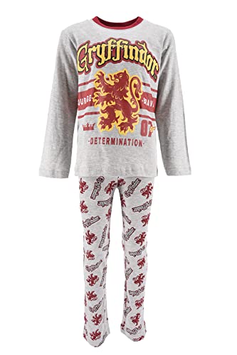 Harry Potter Schlafanzug, T-Shirt und Lange Hose, 2-Teiliges Set für Jungen und Mädchen, Baumwoll Schlafanzug für Kinder und Teenager (as3, Age, 10_Years, Regular, Grau) von Harry Potter