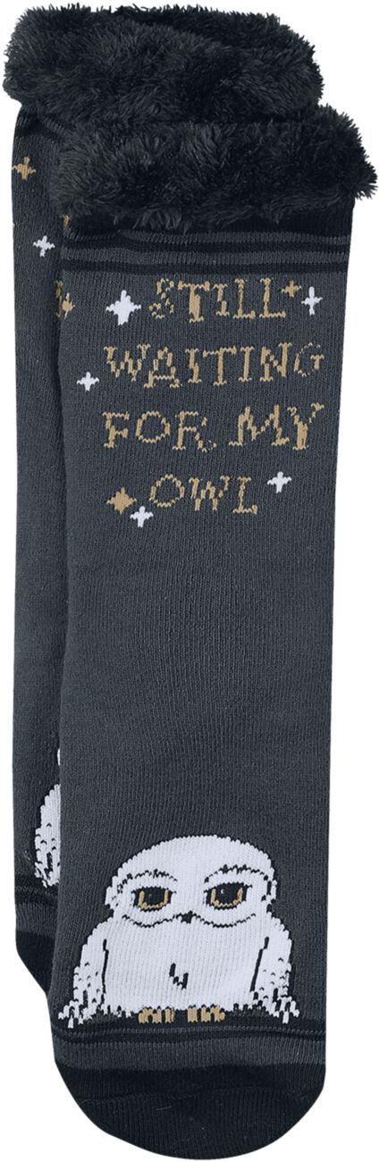 Harry Potter Socken - Hedwig - EU35-38 bis EU39-42 - für Damen - Größe EU 35-38 - multicolor  - EMP exklusives Merchandise! von Harry Potter