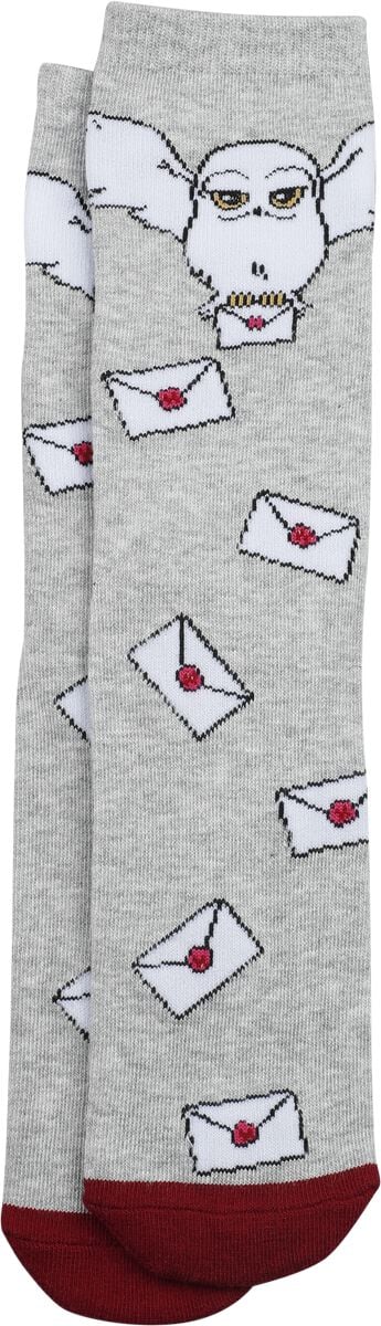Harry Potter Socken - Hogwarts Letter - S-M bis L-XL - Größe L-XL - multicolor - Lizenzierter Fanartikel Harry Potter Socken - Hogwarts Letter - S-M bis L-XL - Größe L-XL - multicolor - Lizenzierter Fanartikel von Harry Potter