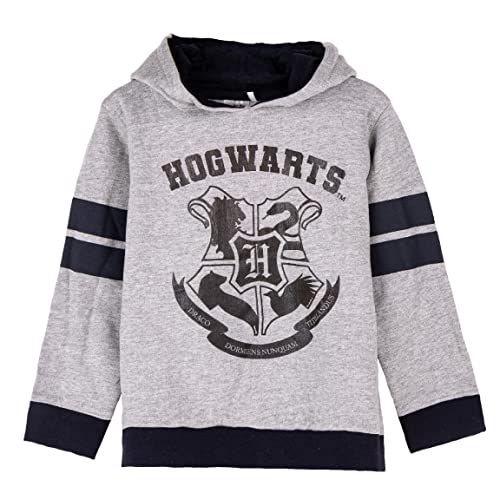 Harry Potter Sweatshirt für Mädchen, Pullover im Hogwarts Design, Weiches Textil Kapuzenpullover für Mädchen, Geschenk für Mädchen, Größe 7 Jahre | Grau von Harry Potter