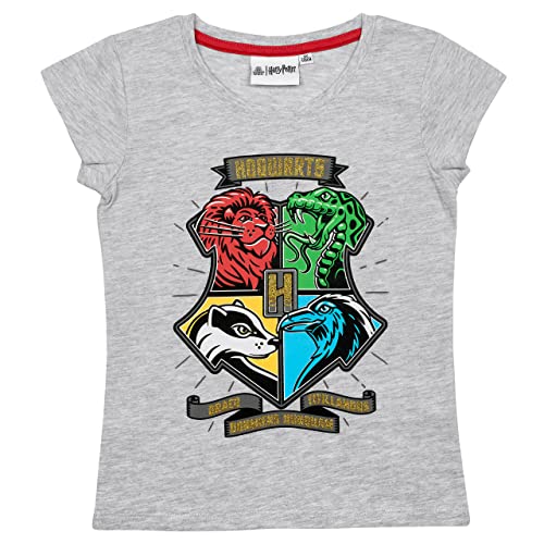 Harry Potter T-Shirt Jungen Mädchen Hogwarts Gryffindor (Grau, 128) von Harry Potter