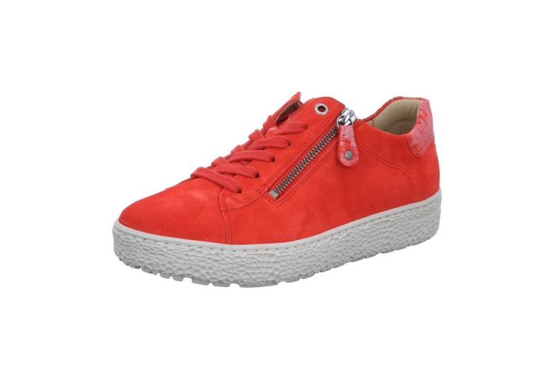 Hartjes PHIL SHOE Sneaker von Hartjes
