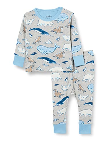 Hatley Baby-Jungen Organic Cotton Long Sleeve Pyjama Set Pyjamaset, Arctic Animals, 9-12 Monate von Hatley