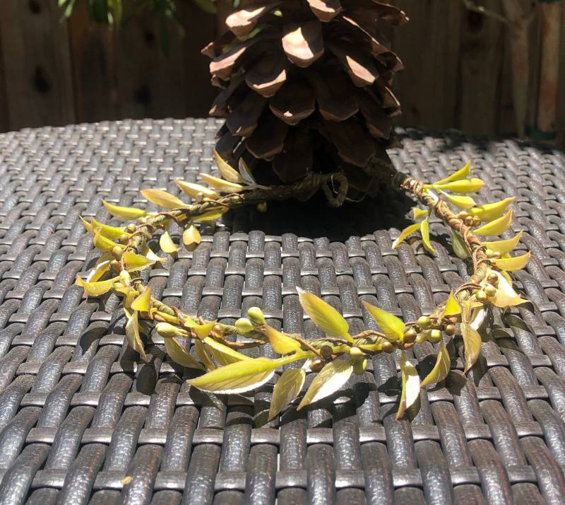 40% Sale - Staubrosa Oder Limette Farbe Blätter Kopf Kranz Krone Tiara Party Blumen Mädchen Brautjungfern Winter Hochzeit Fee von Hattraction