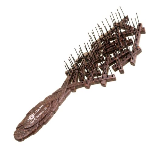 Head Jog 19 Kokosbürste - Umweltfreundlicher Entwirrer mit flexiblen Borsten für nasses oder trockenes Haar - aus Kokosnussschalen - Sanfte Entwirrung Haarbürste für Frauen und Männer in Kakao Head Jog 19 Kokosbürste - Umweltfreundlicher Entwirrer mit flexiblen Borsten für nasses oder trockenes Haar - aus Kokosnussschalen - Sanfte Entwirrung Haarbürste für Frauen und Männer in Kakao von Head Jog