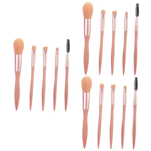 Healeved 15 Stk Make-up-pinsel-set Lidschatten Foundation-pinsel Make-up-pinsel Für Teenager-mädchen Kosmetikpinsel Ästhetische Make-up-pinsel Mischpinsel Bürste Plastik Das Gesicht Rosa von Healeved