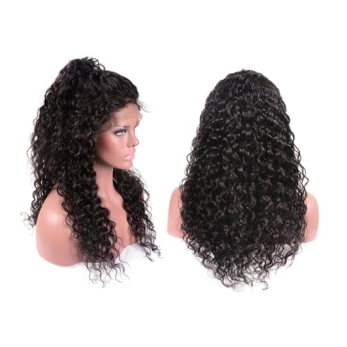 Healeved Damen Perücke Small Curly Hair Wig mit Front Lace Natürliches Aussehen Elastisches Netz Atmungsaktiv und Hautfreundlich Modisch für Alltag Party Cosplay Schwarzes Design von Healeved