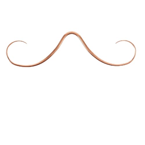 Healeved Edelstahl Septum Ring Nasenpiercing Schnurrbart Design Damen Herren Roségold Körperschmuck Einfach zu Tragen Vielseitig für Alltag Party Hochzeit von Healeved
